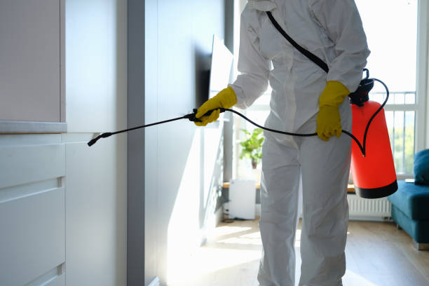 Professional Mold Removal in Navarre, OH